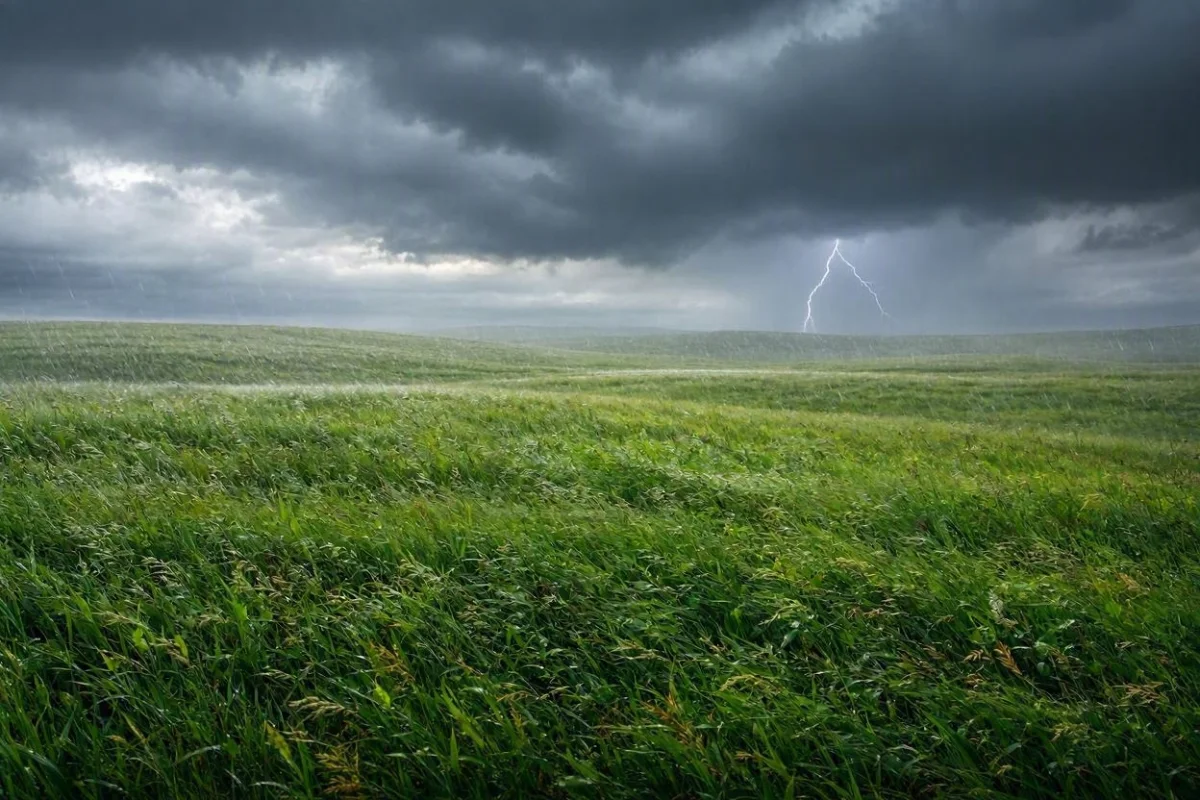 Sonhar com tempestade